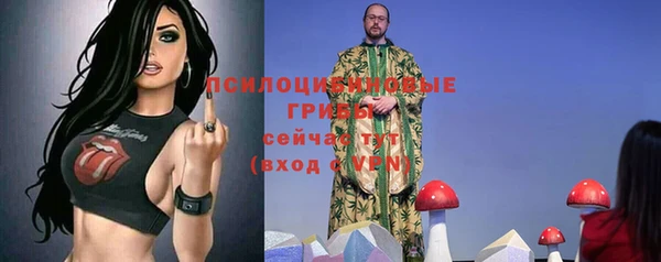 гидропоника Лагань