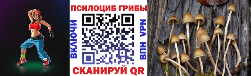 Галлюциногенные грибы MAGIC MUSHROOMS Купить закладки Бугульма
