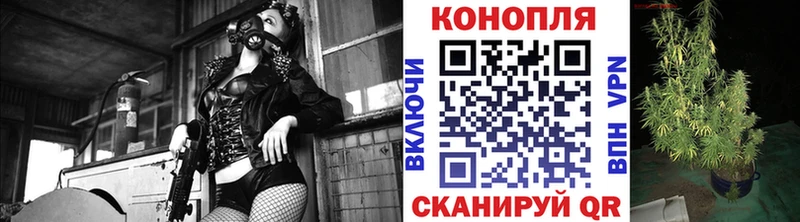 Купить  Бугульма  Бошки Шишки планчик 
